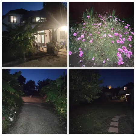 Casa de hóspedes Kék Vándor