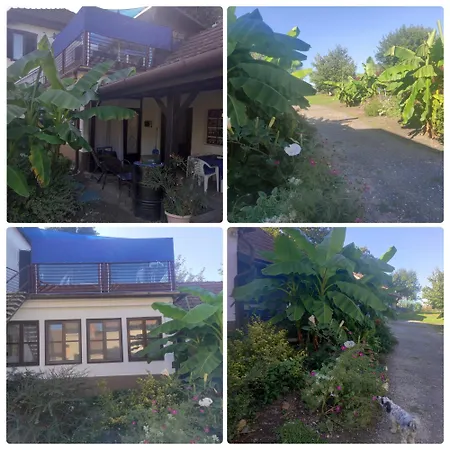 Kek Vandor Vendeghaz 招待所 Redics