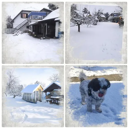 Kek Vandor Vendeghaz *