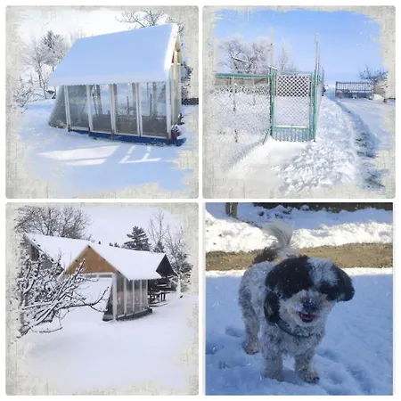 Kek Vandor Vendeghaz 招待所 Redics