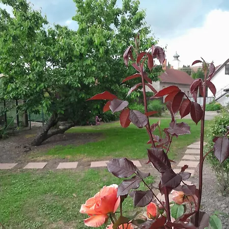 Kek Vandor Vendeghaz *