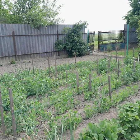 招待所 Kek Vandor Vendeghaz Redics