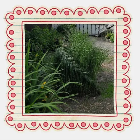 Kek Vandor Vendeghaz * Redics