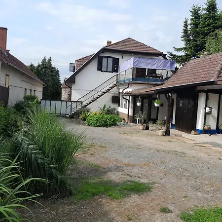 Kek Vandor Vendeghaz *